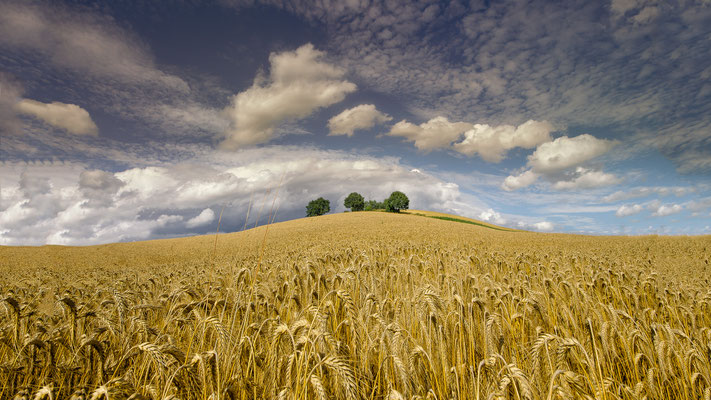 Harderberg  -   All images: © Klaus Heuermann  -