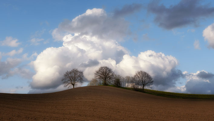 Egge Harderberg  -   All images: © Klaus Heuermann  -