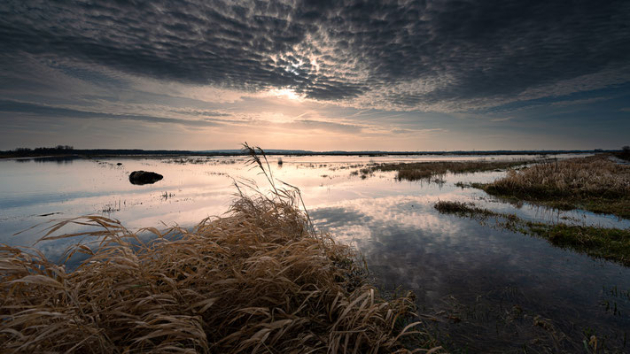 Ochsenmoor  -   All images: © Klaus Heuermann  -