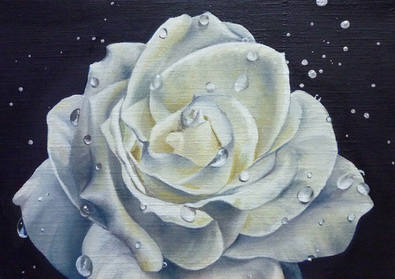 白いバラⅢ　油彩、カンヴァス　15.8×22.5cm　個人蔵