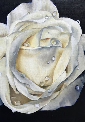 白いバラⅠ　油彩、カンヴァス　22.5×15.8cm　個人蔵