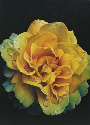 野の花－きいろ－　油彩、カンヴァス　33.3×24.2cm　個人蔵