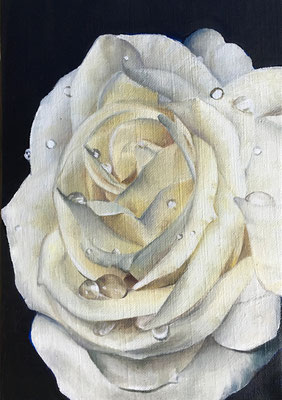 白いバラⅡ　油彩、カンヴァス　22.5×15.8cm　個人蔵