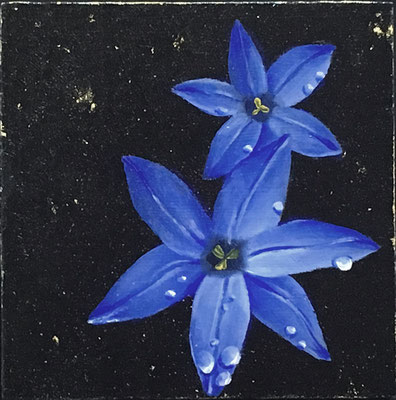 藍色に駆ける星Ⅲ　金箔、油彩、MDF　10×10cm　個人蔵