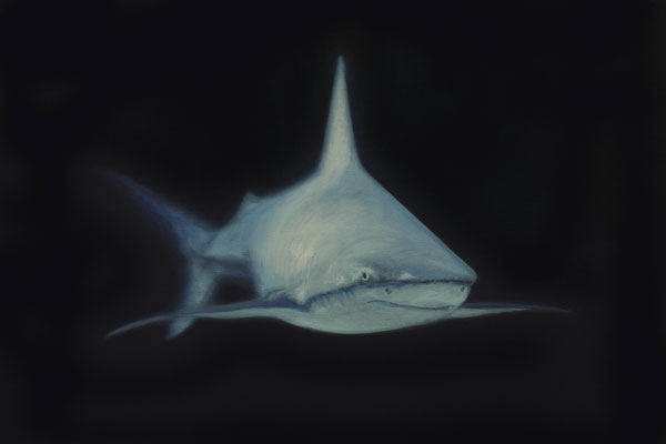 Der neue Fisch (50x70)