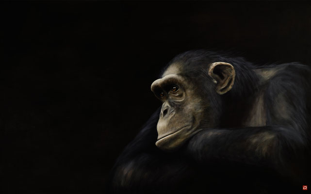  Den aufrechten Gang hätten wir uns sparen können … dachte der Affe, als er über den Menschen als das Ende der Evolution sinnierte (100x150)