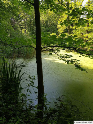 Single westerwald