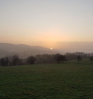Single westerwald