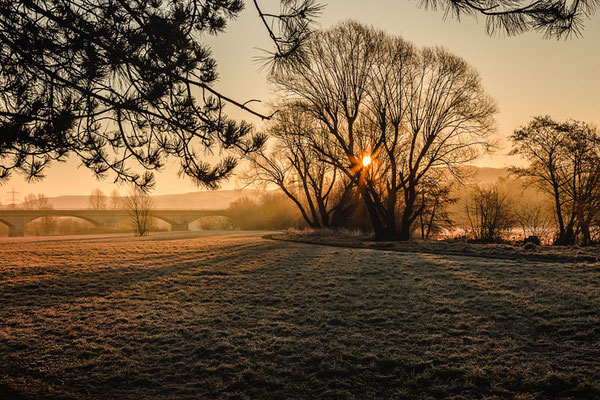 Morgenstund hat Gold im Mund...morgens an der Ruhr in Bochum