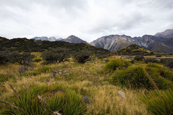 Mt Cook Nationalpark, New Zealand (6)