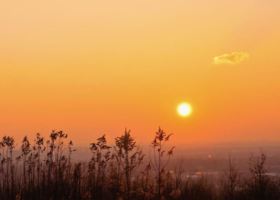 Sonnenuntergang auf dem Tippelsberg in Bochum