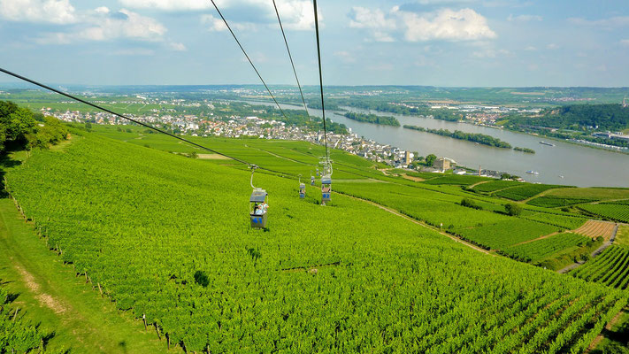 O teleférico ao Monumento Niederwald com vista dos vinhedos da região do Rheingau