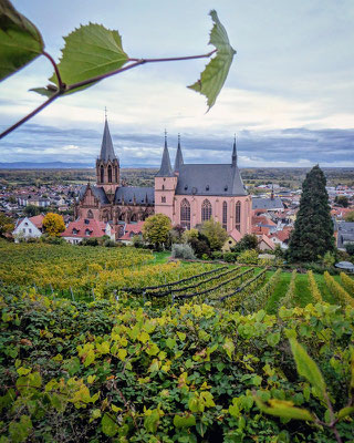 St. Catherine's Church in Oppenheim