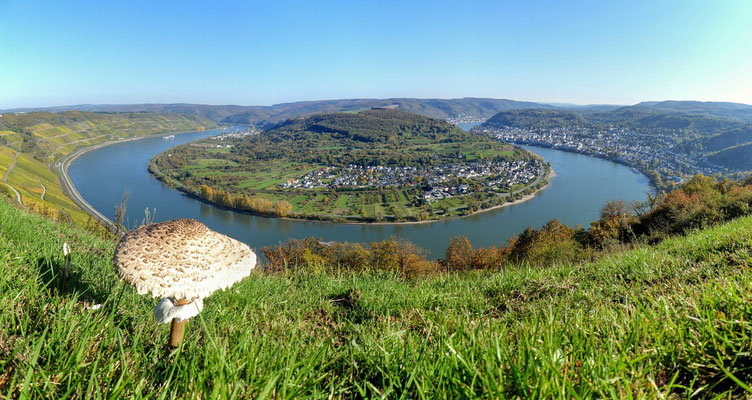 Vale do rio Reno entre o castelo Marksburg e Rüdesheim