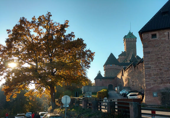 Castelo Haut-Koenigsbourg