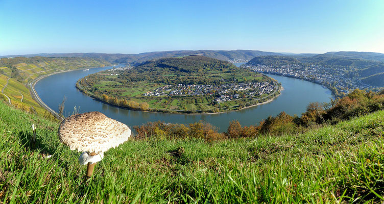 Valley of the Rhine near Boppard