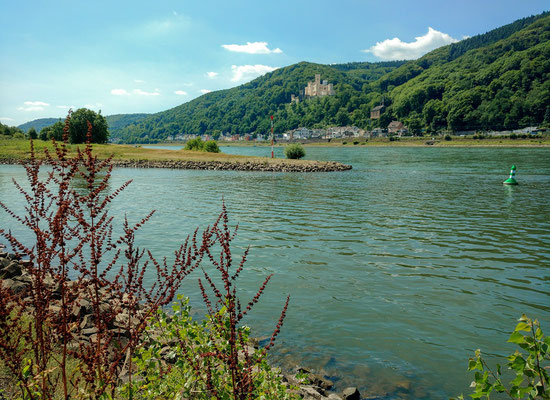 Boca del río Lahn frente del neogótico castillo Stolzenfels