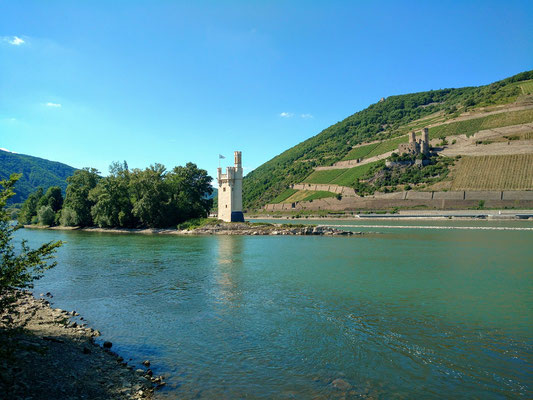 Entrada al Valle del Médio Rin ("Binger Loch")  con el torre de los ratones y la ruina del castillo Ehrenfels