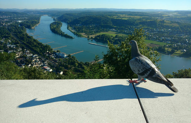 Vista do vale do rio Reno