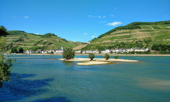 Río Rin cerca del pintoresco pueblo de vinos Assmannshausen