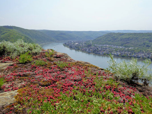 Vista del castillo Marksburg sobre el valle del Rin