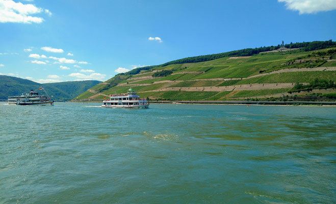 Vista da balsa entre Rüdesheim e Bingen