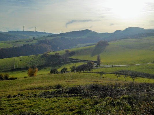 The bucolic landscape of the Eifel region