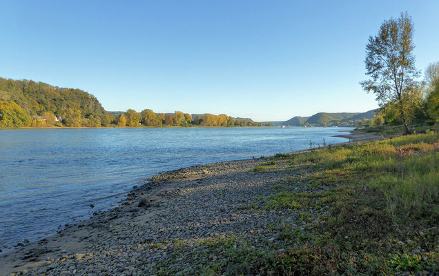 Río Rin entre Bad Breisig y Remagen