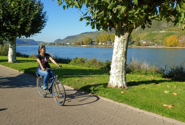 Ciclovía na orla de Andernach