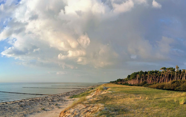 A selvagem costa da ilha de Hiddensee na região da Pomerânia