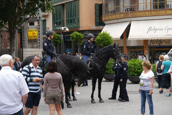 Plaza de Cort