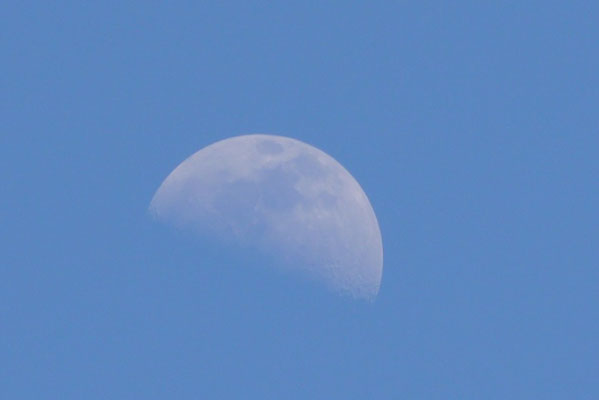 Mond über Paguera