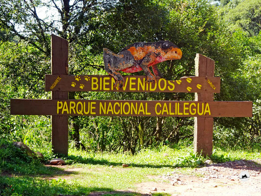 Bei der Ortschaft Libertador General San Martin liegt der Nationalpark Calilegua