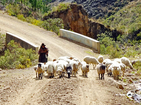 In den kleinen Dörfern unterwegs ist das urprüngliche Landleben noch sehr präsent