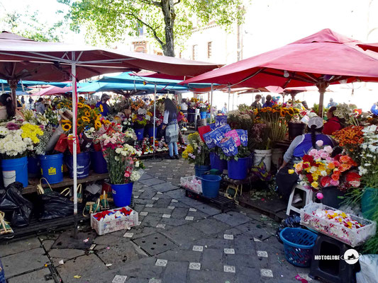 Der Blumenmarkt