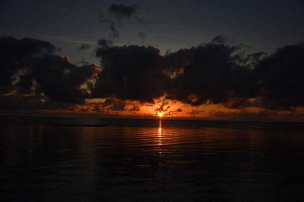 Sonnenaufgang Cape Tribulation