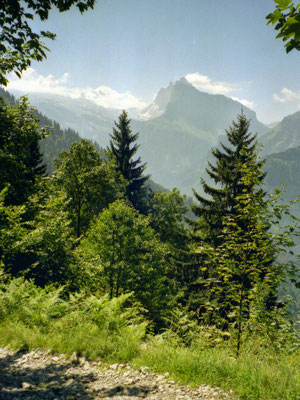 Samoëns Tour Aouille de Criou Mont Blanc Blick