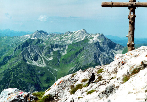 Rauhhorn Allgäu 