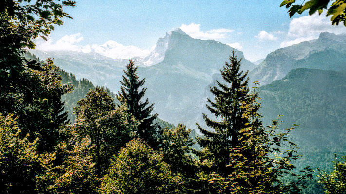 Samoëns Tour Aouille de Criou Mont Blanc Blick