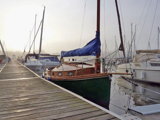 Blickfang im Hafen: Seezunge "Visby"   