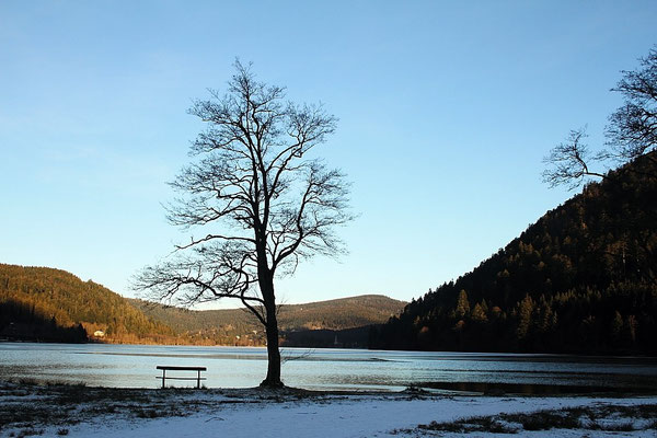 Le 15/01/2012  Lac de Longemer  (Hautes Vosges )