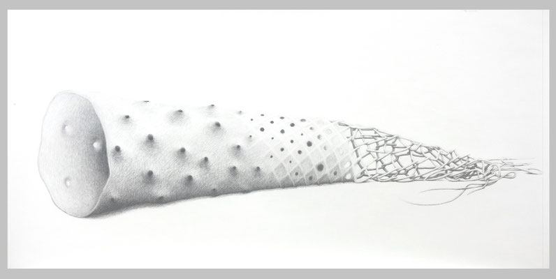 Open End, 2015. Bleistift auf Papier, 74 x 150 cm.