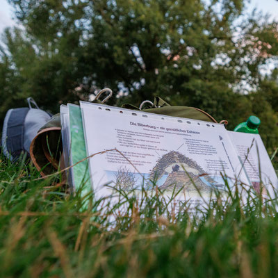 Zur Einführung gab es Informationen über Biber (Foto: N. Horn)