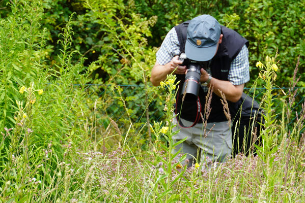 Abgetaucht ins Grün und versunken in die Fotografie (Foto: Meike Kempermann)