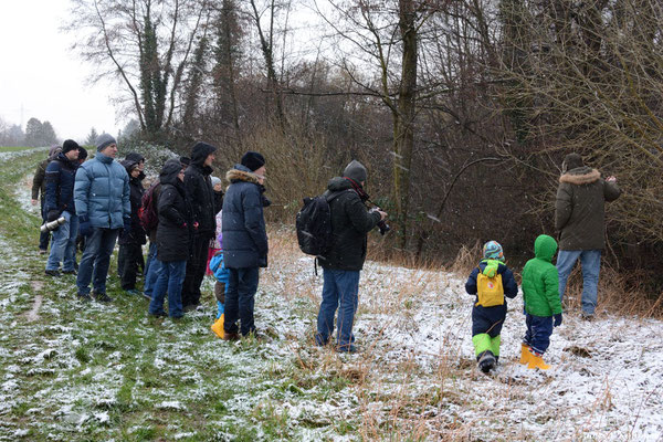 Thomas Wolf führt die Gruppe zu Biberspuren im Schnee