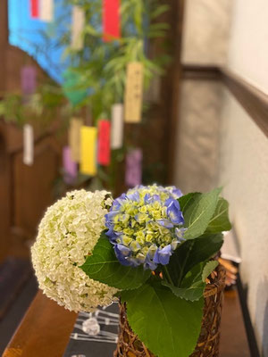 玄関ホールでは、紫陽花と五色の短冊が結ばれた美しい七夕飾りが出迎えてくれました。