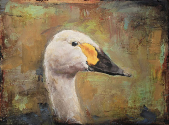 Sing Schwan, 2024, Öl auf Holz, 30x40cm