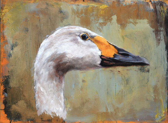Die Gans (Singschwan), 2024, Öl auf Sperrholz, 30 x 40,5 cm