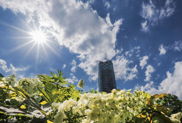 煙突みたいなタワーマンション　第50回「東京都写真展」　　【入選】　