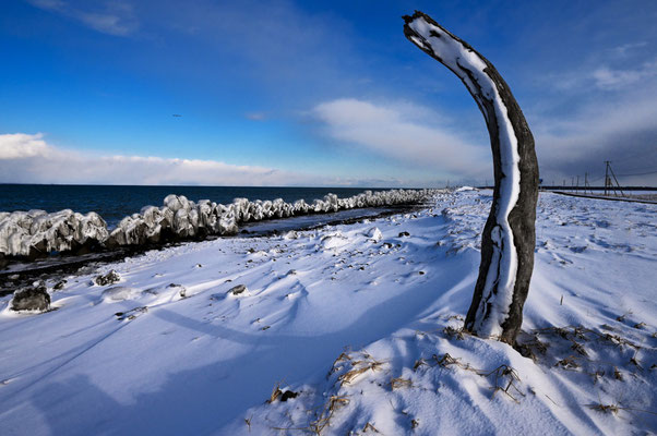 厳冬の大地　2024年 第72回埼玉県展【入選】　　　　　　　北海道野村半島